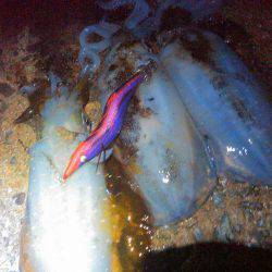 まあまあえーサイズ